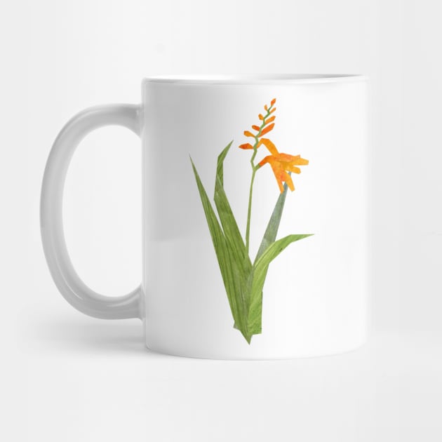 Crocosmia by Babban Gaelg